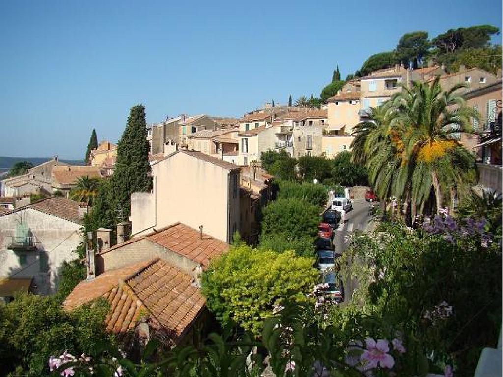 183 D23 BORMES LES MIMOSAS 1_000043.jpg